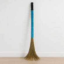 Pro Clean Expandable Floor Broom with Plastic Handle