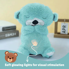 LED Light Musical Teddy Bear